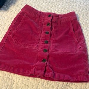 Wild Fable 2 corduroy skirt